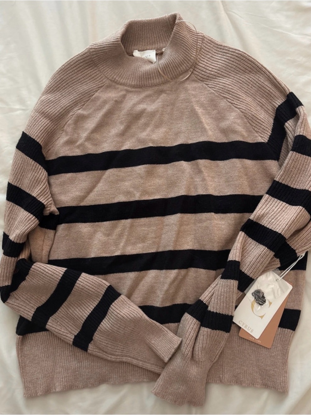Cyrus Taupe and Black Striped Turtleneck Sweater